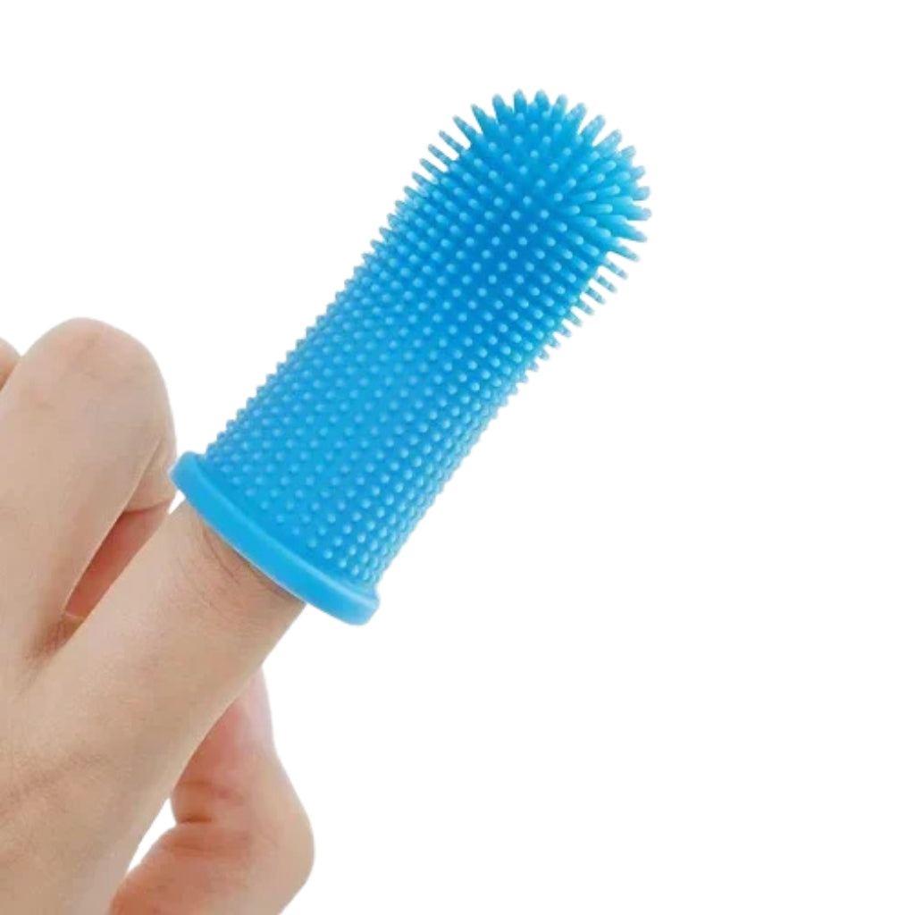 Dog finger toothbrush made from soft silicone with storage case for pet dental care
Finger brush for dogs shown cleaning a dog's teeth with 360 degree silicone bristles
Silicone cat toothbrush and dog finger toothbrush for daily pet oral hygiene
Best finger toothbrush for dogs with soft flexible silicone cleaning surface
Dog toothbrush finger brush with protective storage case on white background