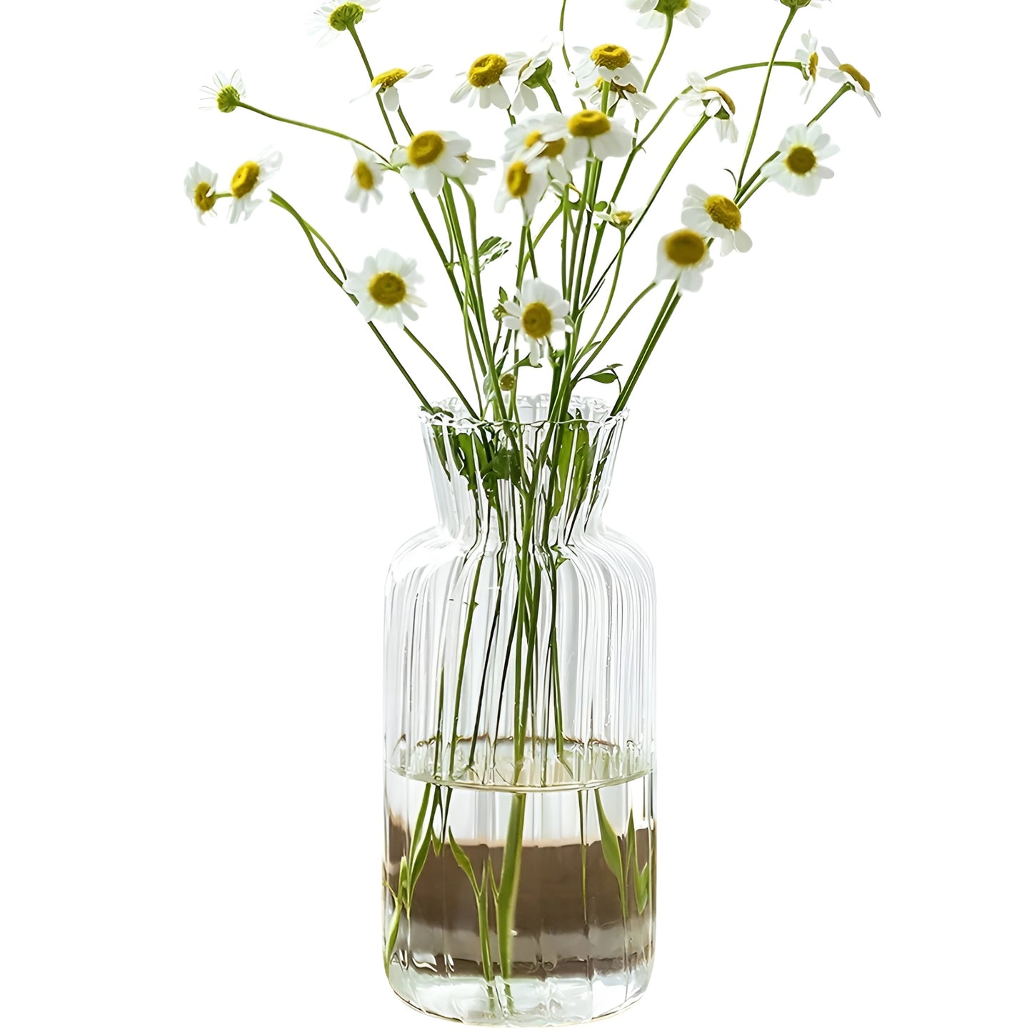modern vases for flowers shown with water and fresh stems