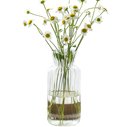 modern vases for flowers shown with water and fresh stems