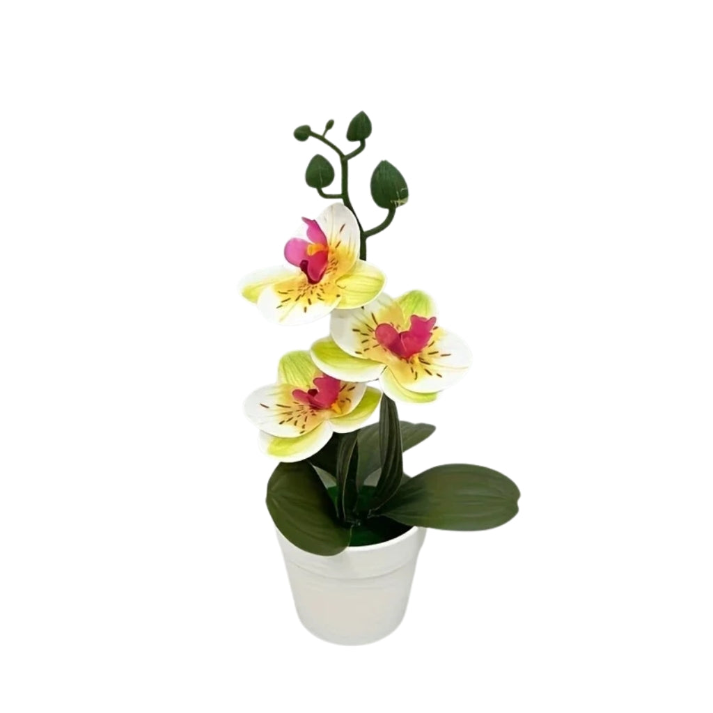 artificial plant orchid with pink and white flowers in a white pot
faux orchid tabletop decor with green leaves and striped petals
artificial orchid flowers arrangement in white planter for indoor decor
potted artificial plant with orchid blooms for home or office display