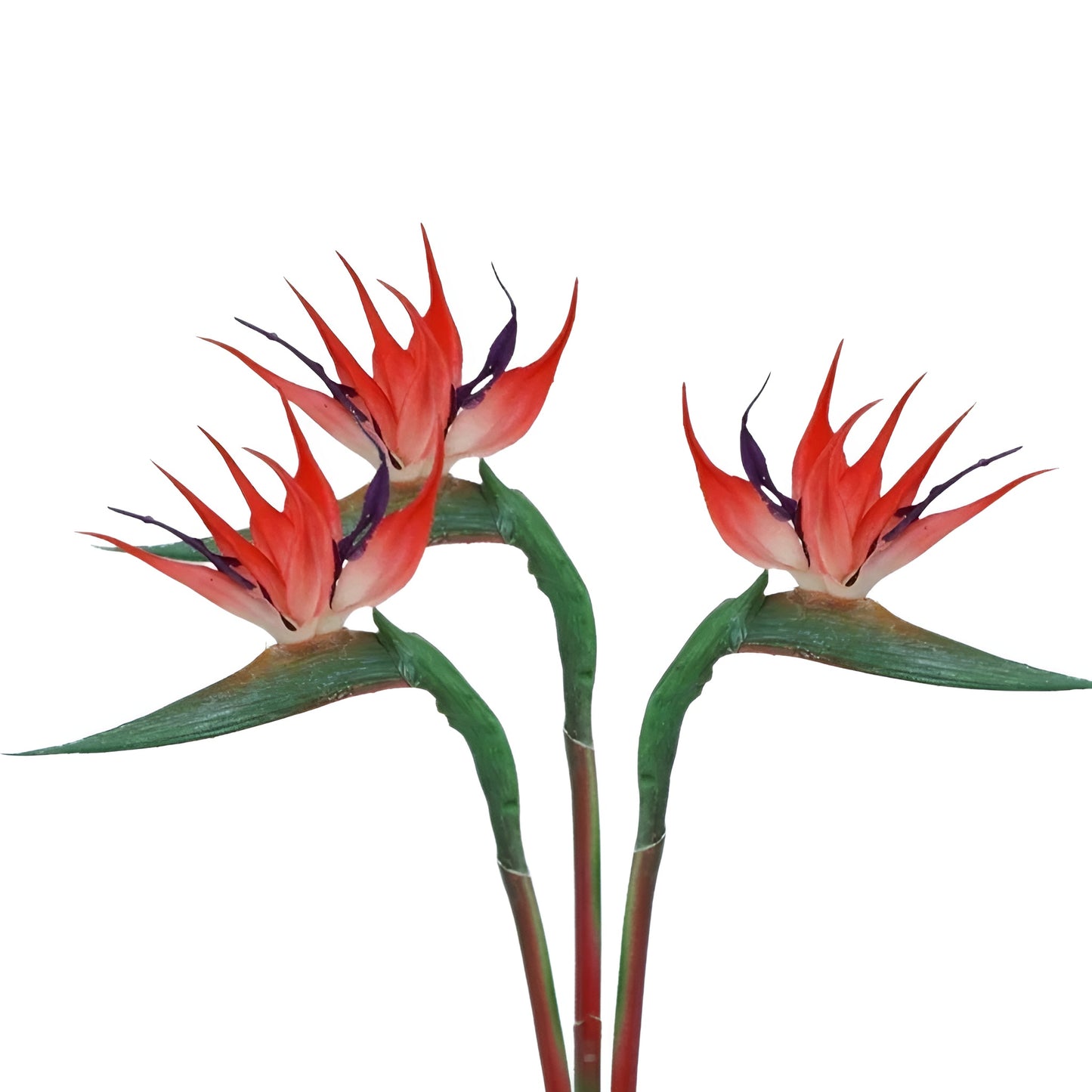 artificial plants bird of paradise with green stems and orange petals