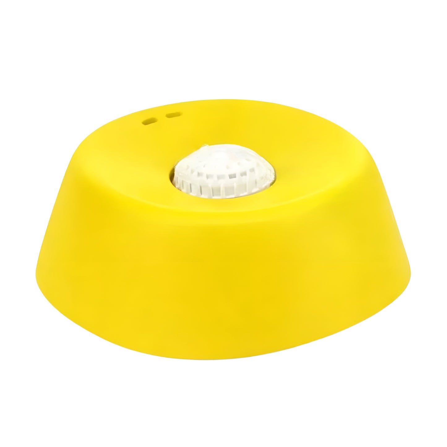slow feeder dog bowl with dog eating from a blue non slip bowl
blue slow feeder dog bowl shown beside a regular dog bowl comparison
dog using a raised center slow eating dog bowl on the floor
plastic slow feeder dog bowl designed for small portions and treats
comparison image of no spill dog bowl and standard dog bowl