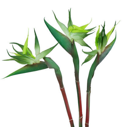 artificial flowers bird of paradise orange stems in glass vase
fake tropical strelitzia flowers long stem arrangement for home decor