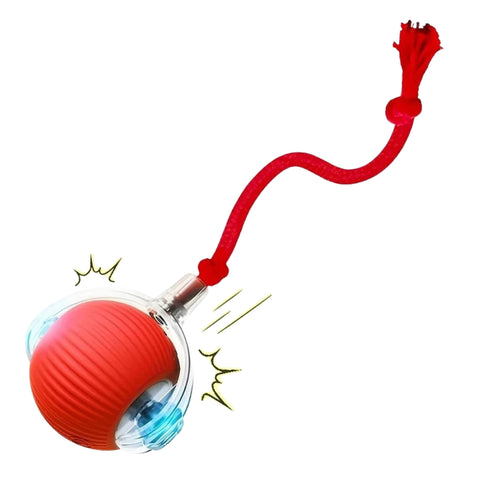 Interactive dog ball rechargeable dog toy shown in gray, green, and red colors
Rechargeable dog toy with rolling ball design for interactive dog toys and indoor play
Smart interactive dog ball with obstacle avoidance for dogs and cats
Automatic rolling dog toy ball with tail attachment for active pet play
Interactive dog toys rechargeable ball for dogs displayed on a light background