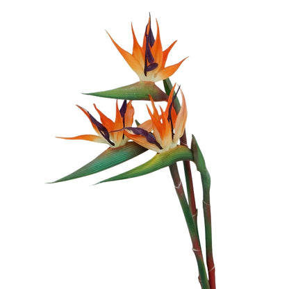 tropical artificial flowers strelitzia bouquet close up