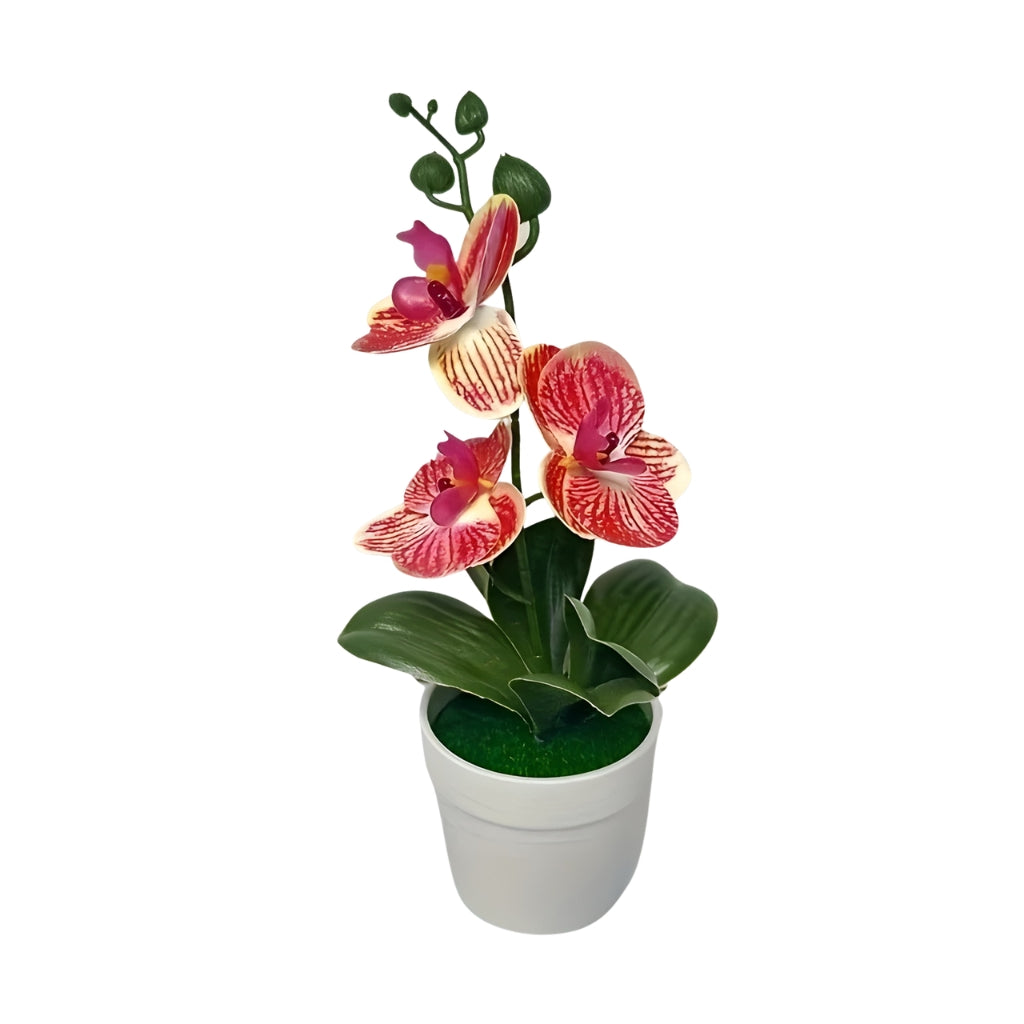 artificial plant orchid with pink and white flowers in a white pot
faux orchid tabletop decor with green leaves and striped petals
artificial orchid flowers arrangement in white planter for indoor decor
potted artificial plant with orchid blooms for home or office display