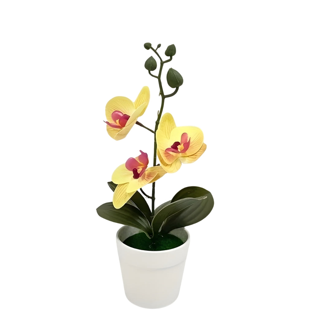 artificial plant orchid with pink and white flowers in a white pot
faux orchid tabletop decor with green leaves and striped petals
artificial orchid flowers arrangement in white planter for indoor decor
potted artificial plant with orchid blooms for home or office display